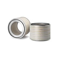 AF2529900 Luft Filter