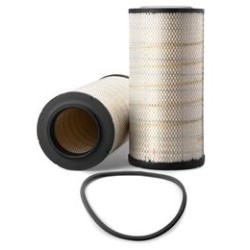 AF2524700 Luft Filter