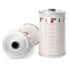 FF0010800 Treibstoff Filter