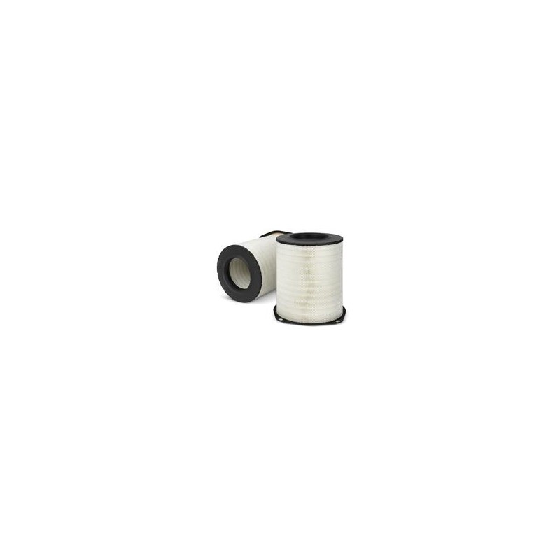 AF2523900 Luft Filter