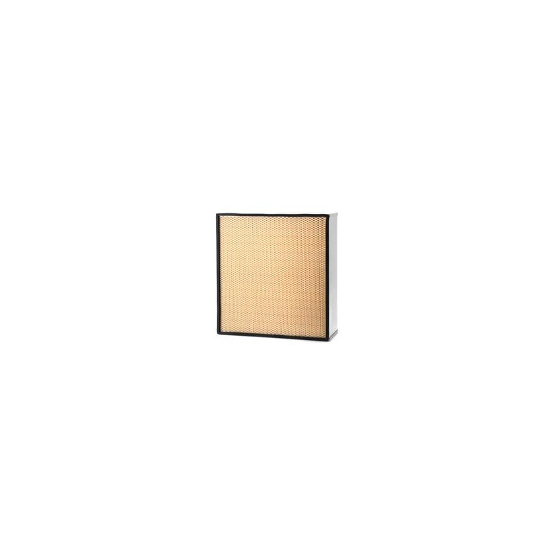 AF2577300 Luft Filter