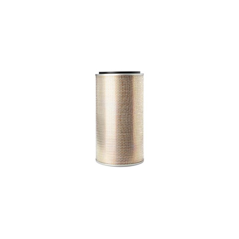 AF2587700 Luft Filter