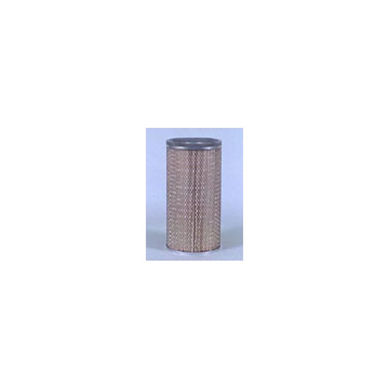 AF2504600 Luft Filter