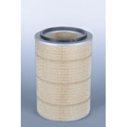 AF2502200 Luft Filter