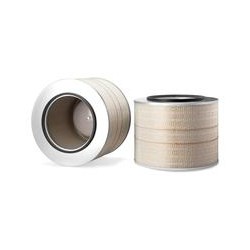 AF2542700 Luft Filter