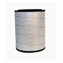 AF2546900 Luft Filter