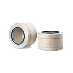 AF2542800 Luft Filter