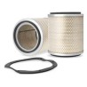 AF0099800 M Luft Filter