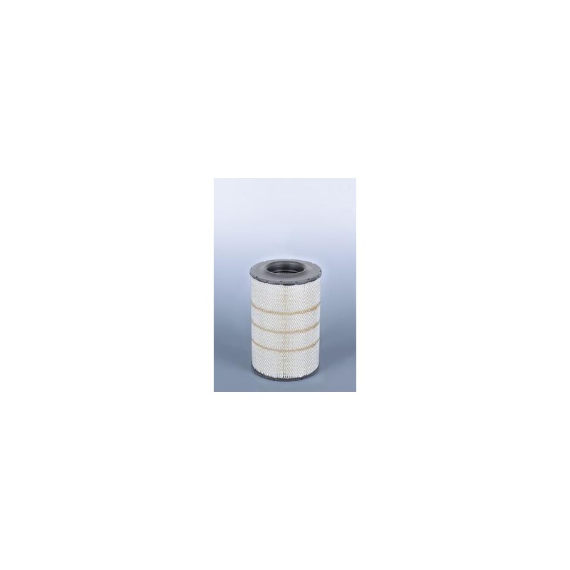 AF2589800 Luft Filter