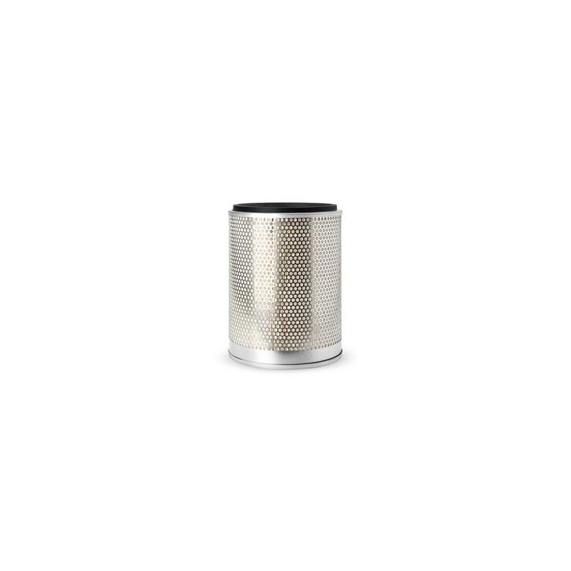 AF2508700 Luft Filter