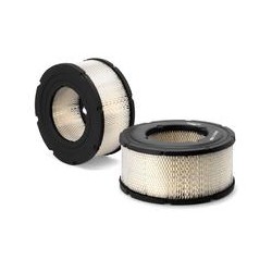 AF2585200 Luft Filter