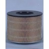 AF0484200 Luft Filter