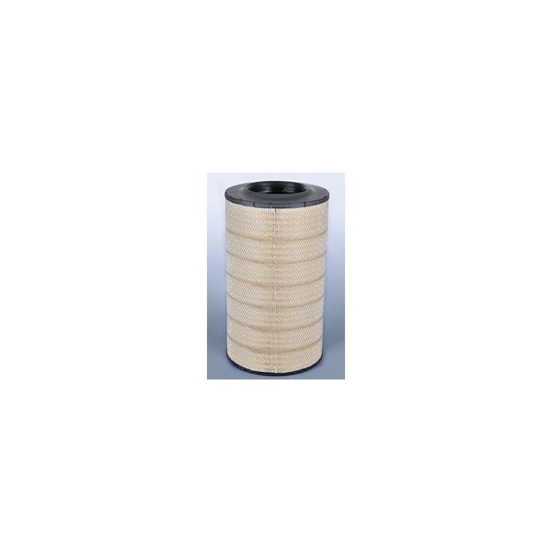 AF2771100 Luft Filter