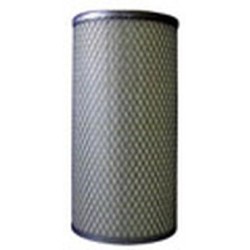 AF2539800 Luft Filter