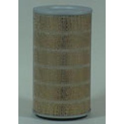 AF0498900 Luft Filter