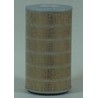 AF0498900 Luft Filter