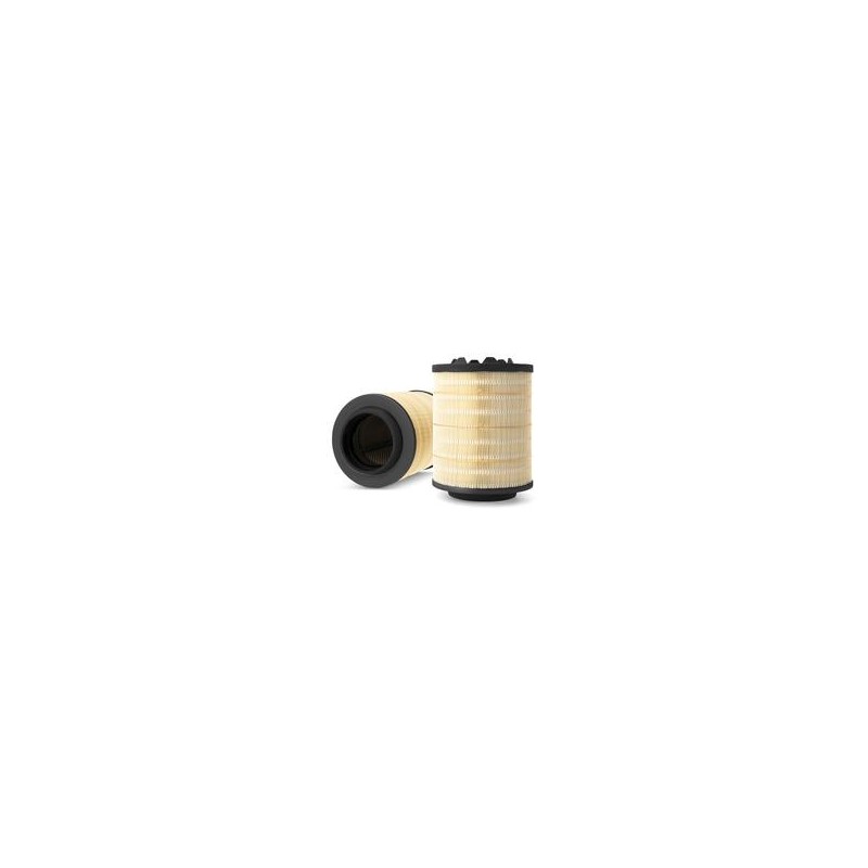 AF2587500 Luft Filter