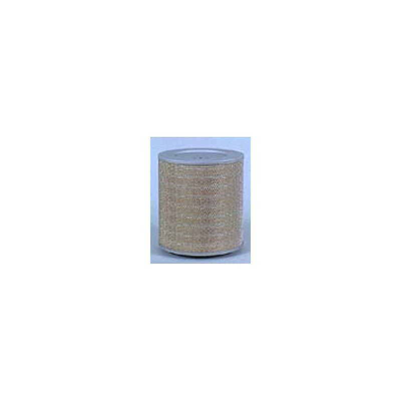 AF2522200 Luft Filter