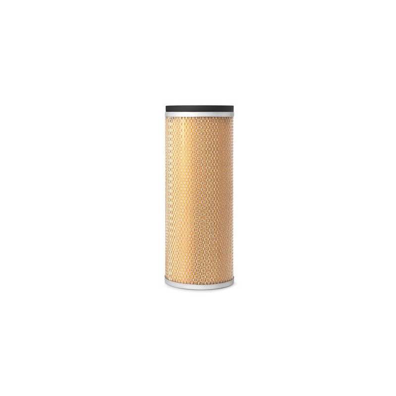 AF2533600 Luft Filter