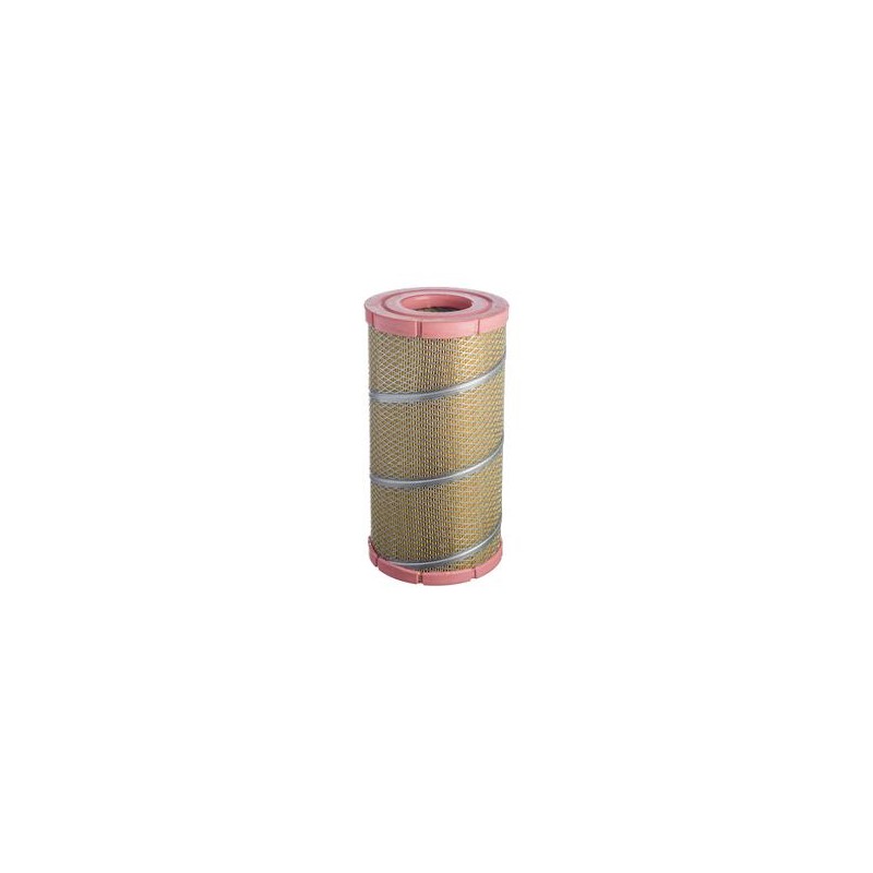 AF2517700 Luft Filter