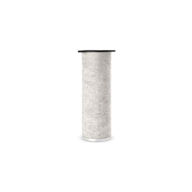 AF2545700 Luft Filter