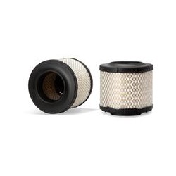 AF2528100 Luft Filter