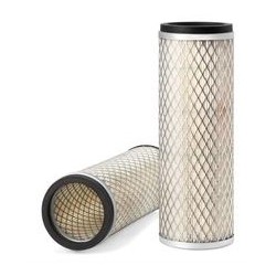 AF2541900 Luft Filter