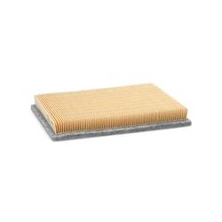 AF2613100 Luft Filter