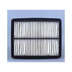 AF2501700 Luft Filter