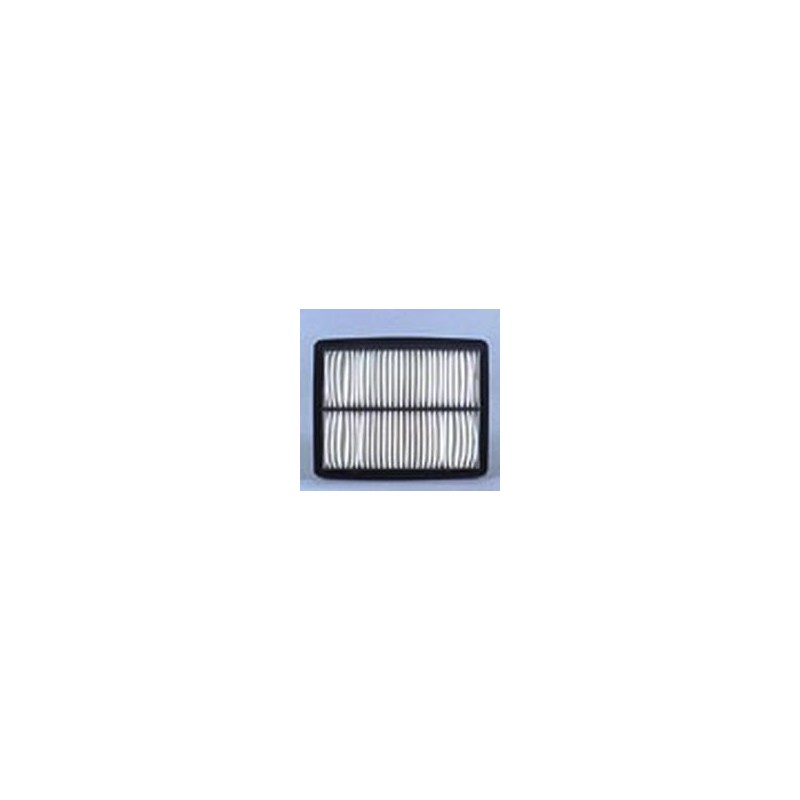 AF2501700 Luft Filter