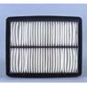 AF2501700 Luft Filter