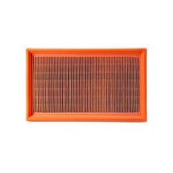 AF2650200 Luft Filter