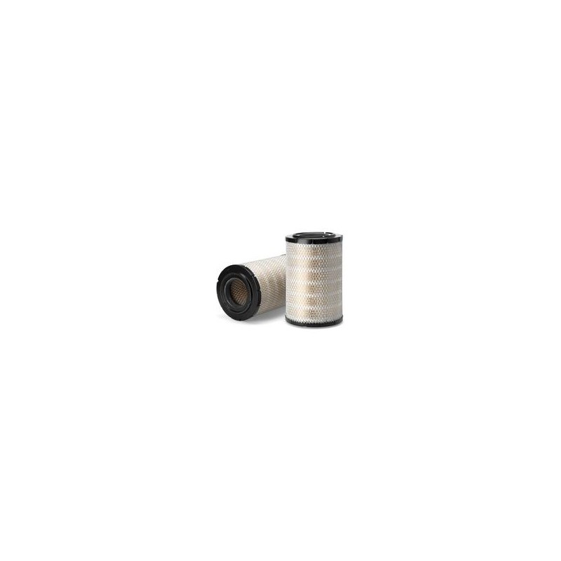 AF2525900 Luft Filter