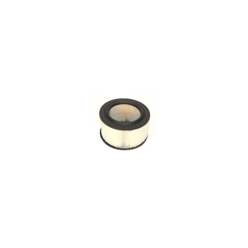 AF0497800 Luft Filter