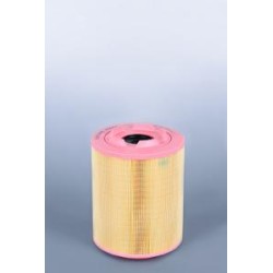 AF2524100 Luft Filter