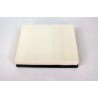 AF2575700 Luft Filter