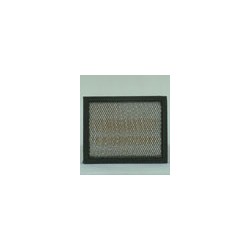 AF2522700 Luft Filter