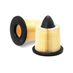 AF2525400 Luft Filter