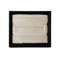 AF2568400 Luft Filter