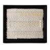 AF2568400 Luft Filter