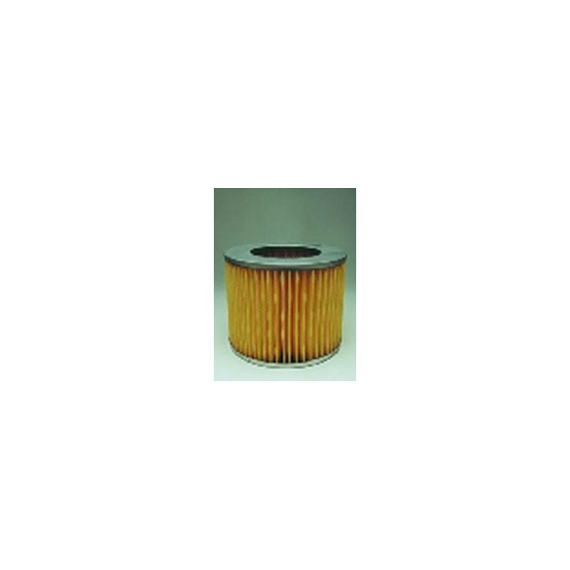 AF2538600 Luft Filter