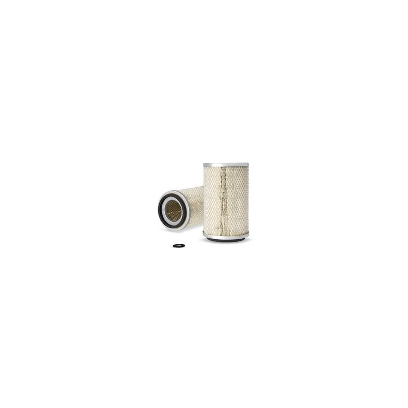 AF0499300 Luft Filter