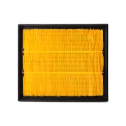 AF2531900 Luft Filter