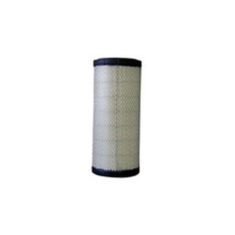 AF2556300 Luft Filter