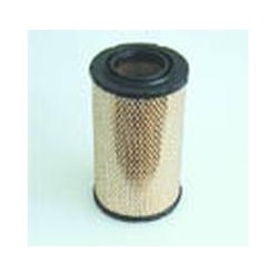 AF2529600 Luft Filter