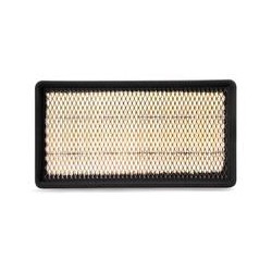 AF2525600 Luft Filter