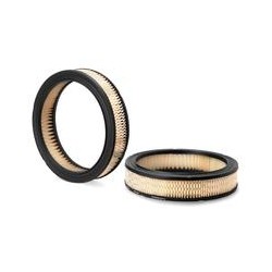 AF0172000 Luft Filter