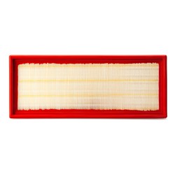 AF2525700 Luft Filter