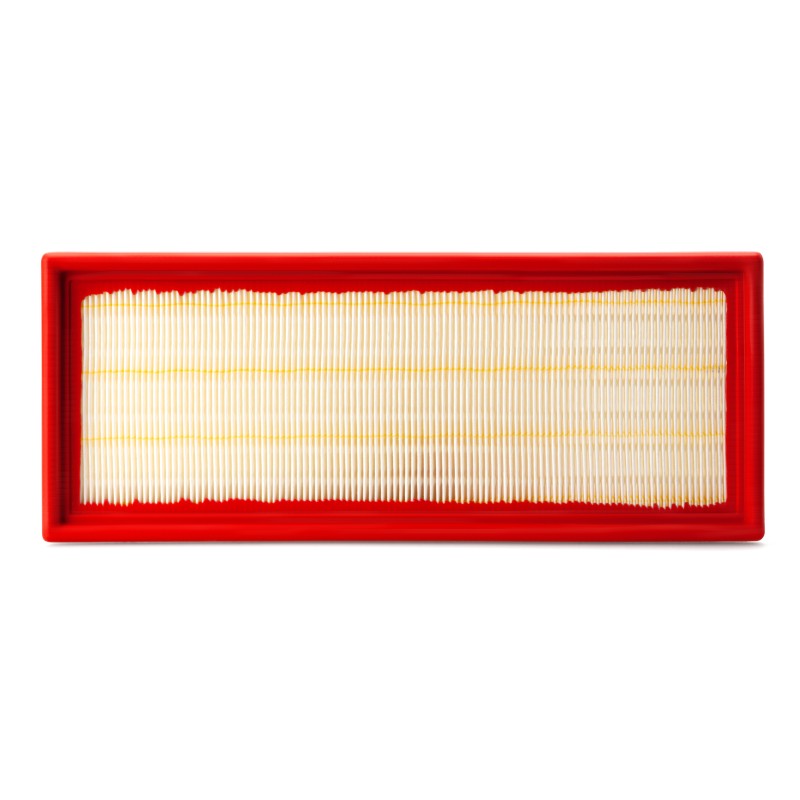 AF2525700 Luft Filter