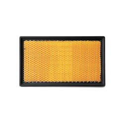 AF2542300 Luft Filter